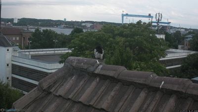 Snapshot 20:00 Uhr