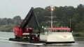 ALBATROS