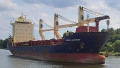 CONDOR VALPARAISO