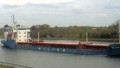 WILSON MERSIN