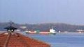 BALTIC AMELIE