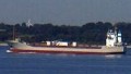 CEMSEA