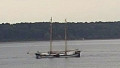 BELUGA II