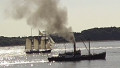 DS BUSSARD