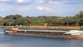TANNENBERG 1