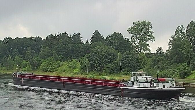REGULUS