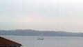 DELPHIN