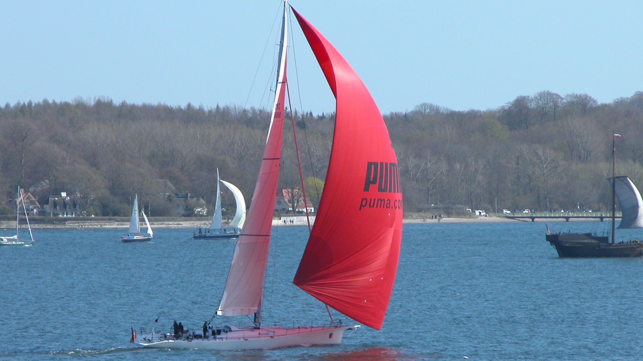 CALYPSO
