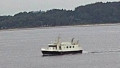 NORDICA