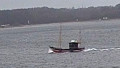 ROSA PALUKA
