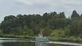 T 1107