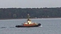 BUGSIER 19