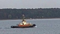 BUGSIER 20