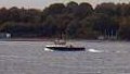BUSSARD