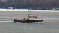 BUSSARD