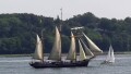 ALBATROS C
