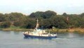 ELBE1