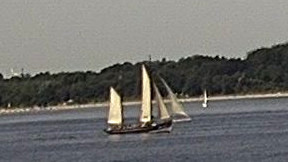 MALTZAHN HF294