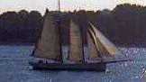 ELBE