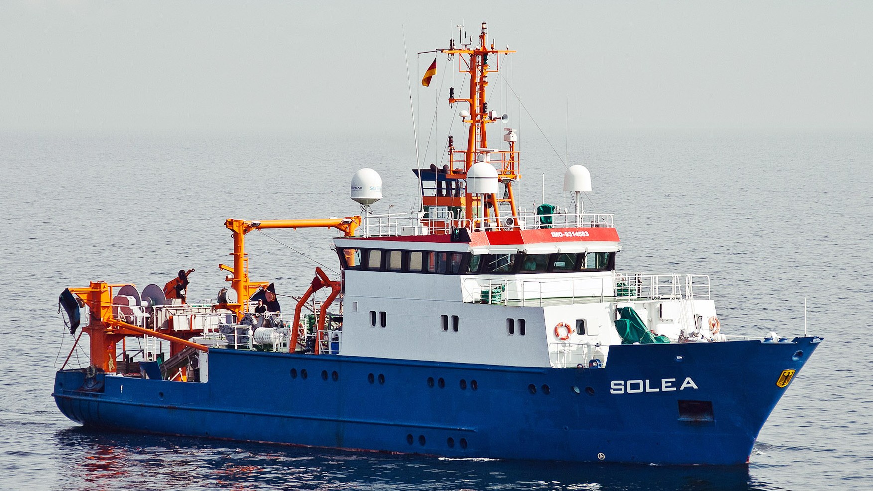 SOLEA