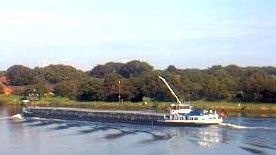 AVALON