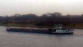 SPREE
