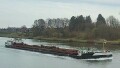 CASTOR