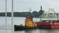 NOK1