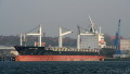 SANTA ALINA