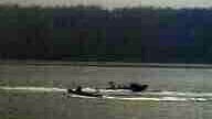 POLIZEIBOOT DONAR