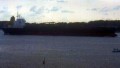 SEATROUT
