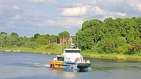 HYDROCAT 55