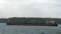 ONEGA