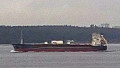 CEMSEA III