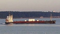 CEMSEA III