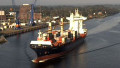 MSC YOSHEEN