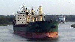 BRANT