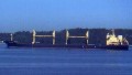 MONTROSE