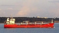 OZDEN THERESA
