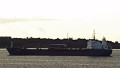 PATERNA