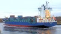 BALTIC WHALE