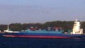 BALTIC WHALE
