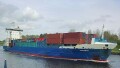 BALTIC WHALE