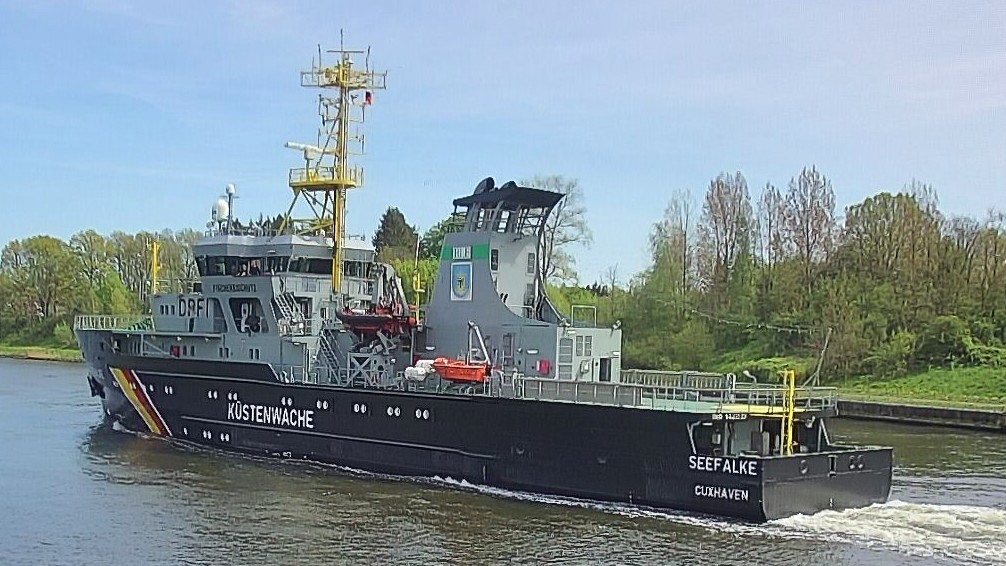 SEEFALKE