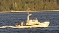 MHV 905