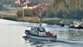 MHV 817 PARTISAN