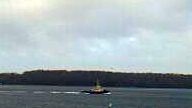 SVITZER MADEIRA