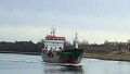SARAH WONSILD