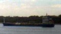 MARINUS