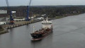 ANHOUT SWAN
